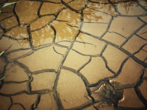 Água no solo seco rachado  — Fotografia de Stock